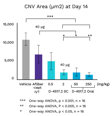 CNV Area (µm2) at Day 14